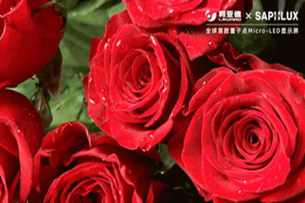 6cbffe2c-88af-4d69-9a19-b987ba27b5d6.png